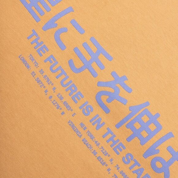 Billionaire Boys Club Tan Short Sleeve Tee BB HUMAN SS TEE in CINNAMON - Picture 4 of 9